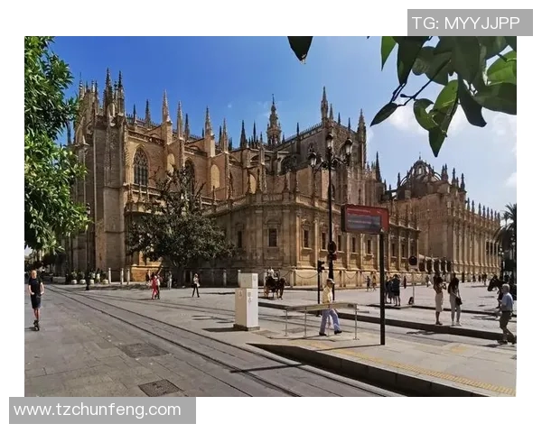 天主青年与萨斯菲历史的交汇与碰撞探讨